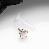 Detail View 2 of 14 Karat Gold Push-In Prong Set Star Gem Top Bio-Flex Labret-Clear Gem