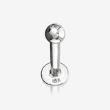 14 Karat White Gold Ball Top Flat Back Stud Labret