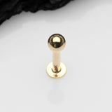 Detail View 1 of 14 Karat Gold Ball Top Flat Back Stud Labret