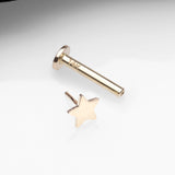 Detail View 2 of 14 Karat Gold OneFit Threadless Flat Star Top Flat Back Stud Labret