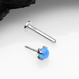 Detail View 2 of 14 Karat White Gold OneFit Threadless Prong Set Fire Opal Top Flat Back Stud Labret-Blue Opal