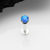 Detail View 1 of 14 Karat White Gold OneFit Threadless Prong Set Fire Opal Top Flat Back Stud Labret-Blue Opal
