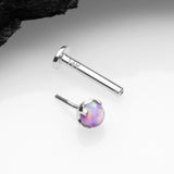 Detail View 2 of 14 Karat White Gold OneFit Threadless Prong Set Fire Opal Top Flat Back Stud Labret-Purple Opal