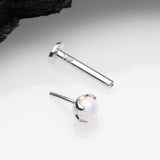 Detail View 2 of 14 Karat White Gold OneFit Threadless Prong Set Fire Opal Top Flat Back Stud Labret-White Opal