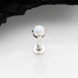 Detail View 1 of 14 Karat White Gold OneFit Threadless Prong Set Fire Opal Top Flat Back Stud Labret-White Opal