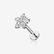 14 Karat White Gold OneFit Threadless Brilliant Sparkle Flower Flat Back Stud Labret