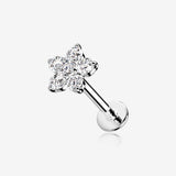 14 Karat White Gold OneFit Threadless Brilliant Sparkle Flower Flat Back Stud Labret