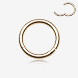 Detail View 1 of Gold Plated Seamless Hinged Clicker Hoop Ring