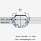 Detail View 1 of Colorline Opal Paradigm Septum Clicker-Purple/Aqua