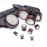 Detail View 2 of A Pair of Bali Cax Hammered White Brass Tiger Ebony Wood Double Flared Plug