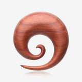A Pair of Sabo Wood Spiral Hanger Plug