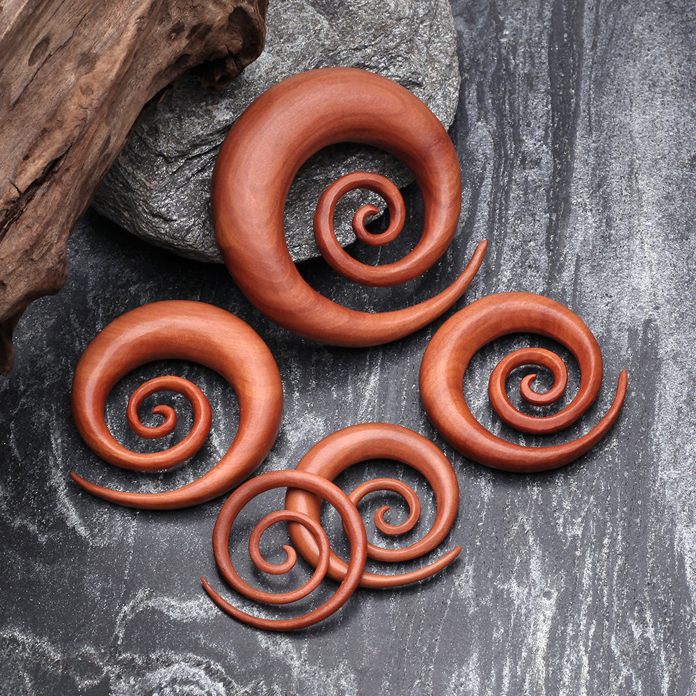 Detail View 2 of A Pair of Sabo Wood Super Spiral Hanger Plug-Orange/Brown