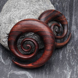 Detail View 1 of A Pair of Rosewood Super Spiral Hanger Plug-Orange/Brown
