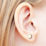 A Pair of Golden Steel Magnetic Fake Plug Earring