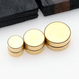 A Pair of Golden Steel Magnetic Fake Plug Earring