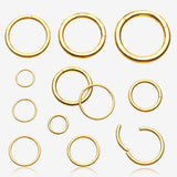 Pure24K Implant Grade Titanium Basic Seamless Hinged Clicker Hoop Ring