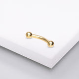 Detail View 1 of Pure24K Implant Grade Titanium Internally Threaded Basic Curved Barbell