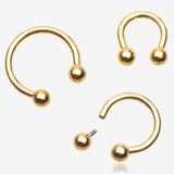 Pure24K Implant Grade Titanium Internally Threaded Horseshoe Barbell