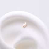 Implant Grade Titanium OneFit Threadless Golden Elegant Marquise Sparkle Top Part