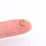 Detail View 2 of Implant Grade Titanium OneFit Threadless Golden Adorable Sea Shell Top Part
