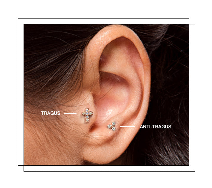 The tragus is located on the cartilage of the external opening of the ear, creating a sweet little addition to any curated ear. The anti-tragus is located in the small, relatively vertical lip of the cartilage above the earlobe, near the lower frontal rim of the conch, adjacent to the tragus. Both of these piercings are gaining popularity, due to the constellation and micro stud type piercing styles.