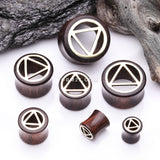 Detail View 2 of A Pair of Karma Triangle Geometric Brass Rosewood Double Flared Tunnel Plug