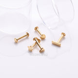 Detail View 1 of 5 Pcs of Assorted Style Golden Minimalistic Internally Threaded Labret Flat Back Stud Package