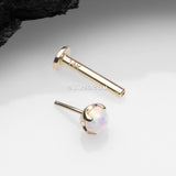 Detail View 2 of 14 Karat Gold OneFit Threadless Prong Set Fire Opal Top Flat Back Stud Labret-White Opal