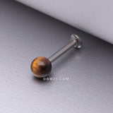 Detail View 1 of Tiger Eye Stone Ball Top Steel Flat Back Stud Labret