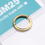 Detail View 4 of Implant Grade Titanium Golden Iridescent Revo Lined Clicker Hoop Ring