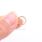 Detail View 2 of Implant Grade Titanium Golden Iridescent Revo Lined Clicker Hoop Ring