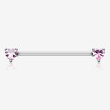 Heart Sparkle Industrial Barbell