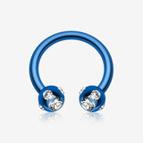 Blackline PVD Aurora Gem Ball Horseshoe Circular Barbell-Blue/Clear