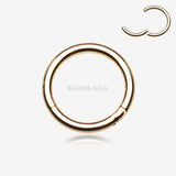 Detail View 1 of Gold Plated Seamless Hinged Clicker Hoop Ring