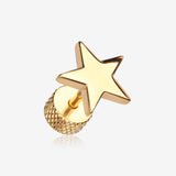 A Pair of Golden Nova Star Steel Fake Plug Earring-Gold