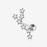 Leo Zodiac Multi-Gem Sparkles Cartilage Tragus Barbell-Clear Gem 