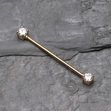 Detail View 1 of Golden Dainty Sparkles Industrial Barbell-Clear Gem