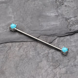 Detail View 1 of Turquoise Bead Prong Industrial Barbell-Turquoise