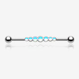 Iridescent Revo Dazzling Row Sparkle Industrial Barbell