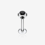 Aurora Gem Ball Steel Labret-Black