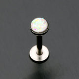 Detail View 1 of Opal Glitter Shower Dome Steel Labret-White
