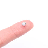 Detail View 3 of 14 Karat White Gold Prong Set Fire Opal Dermal Anchor Top-White Opal