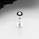 Detail View 1 of 14 Karat White Gold OneFit Threadless Ball Top Flat Back Stud Labret