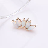Detail View 2 of 14 Karat Gold OneFit Threadless Brilliant Marquise Fire Opal Flower Top Part-White Opal