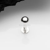 Detail View 1 of 14 Karat White Gold OneFit Threadless Dome Top Flat Back Stud Labret