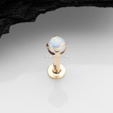 Detail View 1 of 14 Karat Gold OneFit Threadless Prong Set Fire Opal Top Flat Back Stud Labret-White Opal