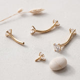 14 Karat Gold Internally Threaded Prong Set Gem Ends Curved Barbell