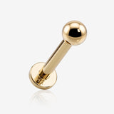 14 Karat Gold Internally Threaded Ball Top Basic Labret Flat Back Stud