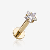 14 Karat Gold Internally Threaded Prong Set Star Gem Top Labret Flat Back Stud-Clear Gem