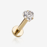 14 Karat Gold Internally Threaded Prong Set Heart Gem Top Labret Flat Back Stud-Clear Gem
